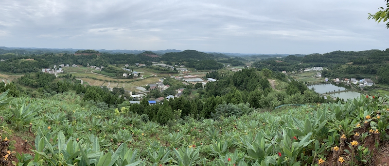 国际电台播报|幸福美丽拱市村的蝶变史