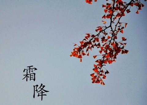 霜降（二十四节气之一）